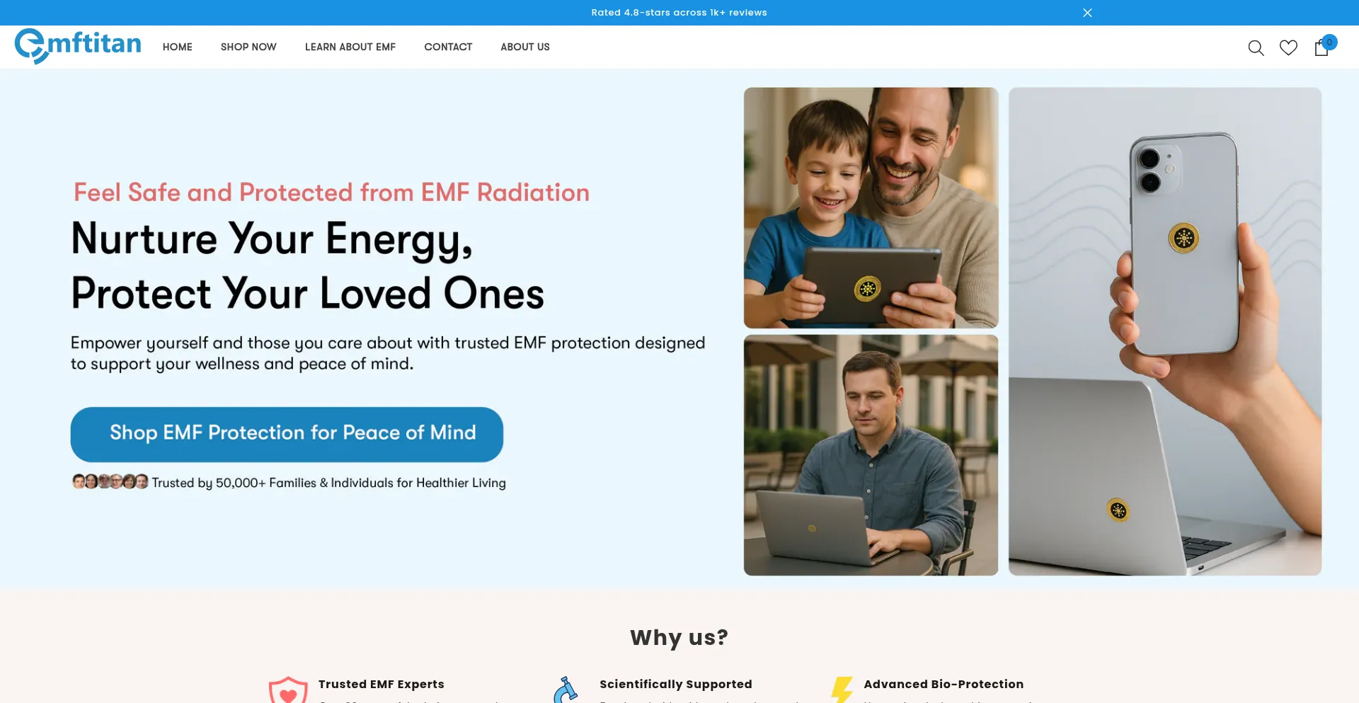 Website screenshot of Emftitan.com