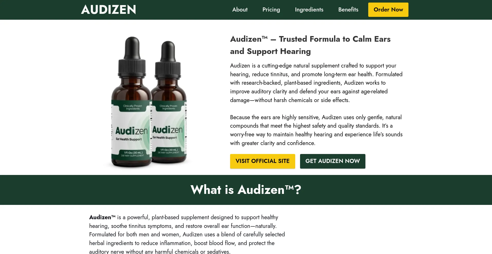 Website screenshot of En-audizan.com