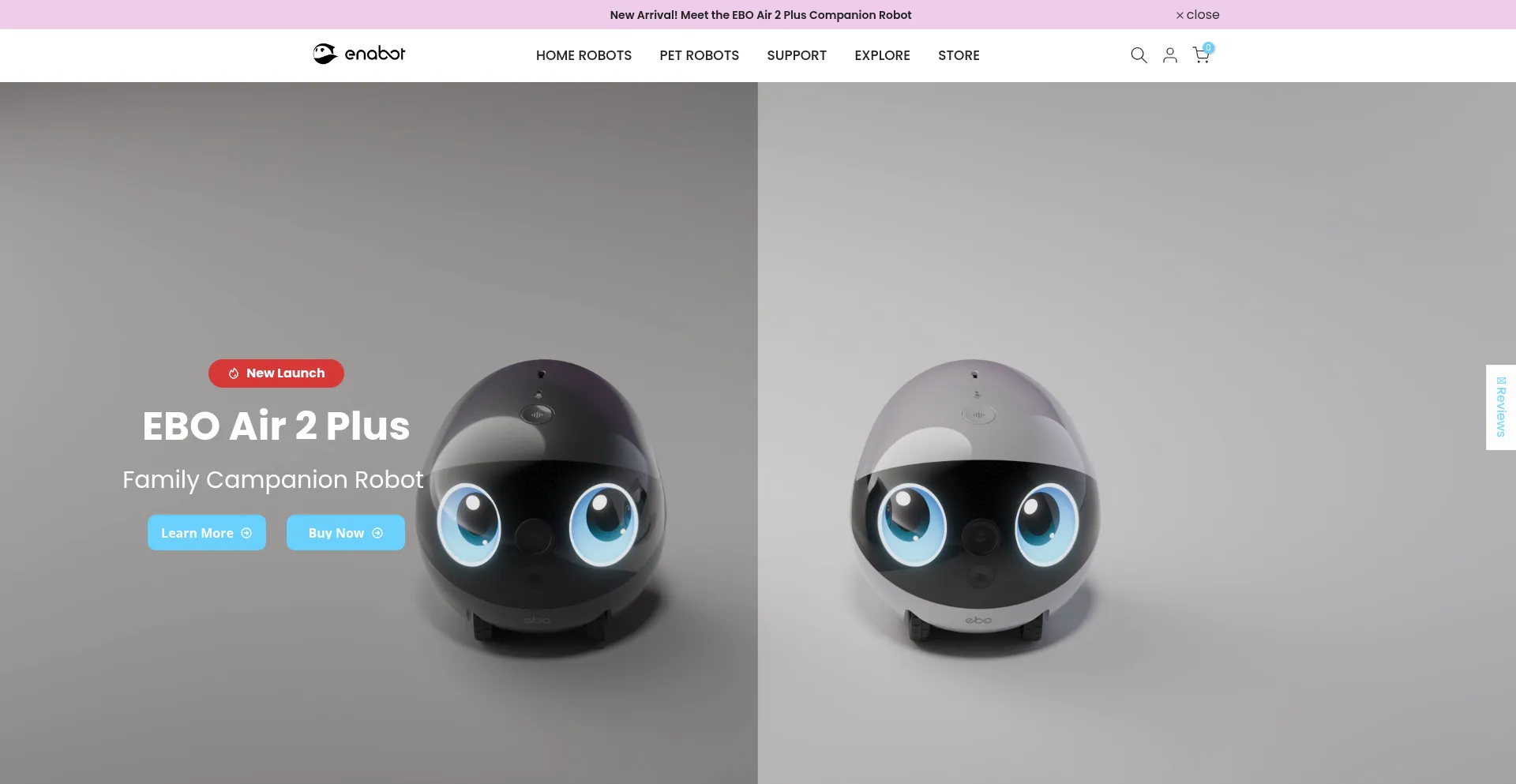 Website screenshot of Enabot.com