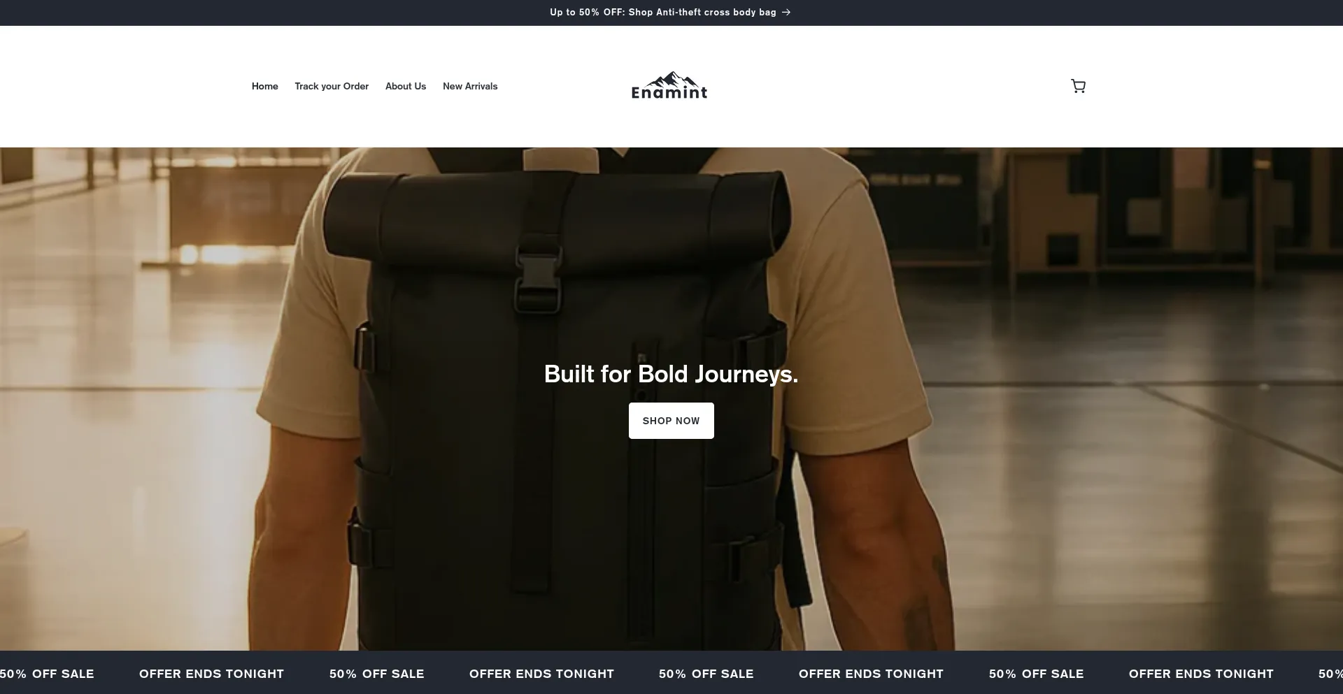 Website screenshot of Enamint.com