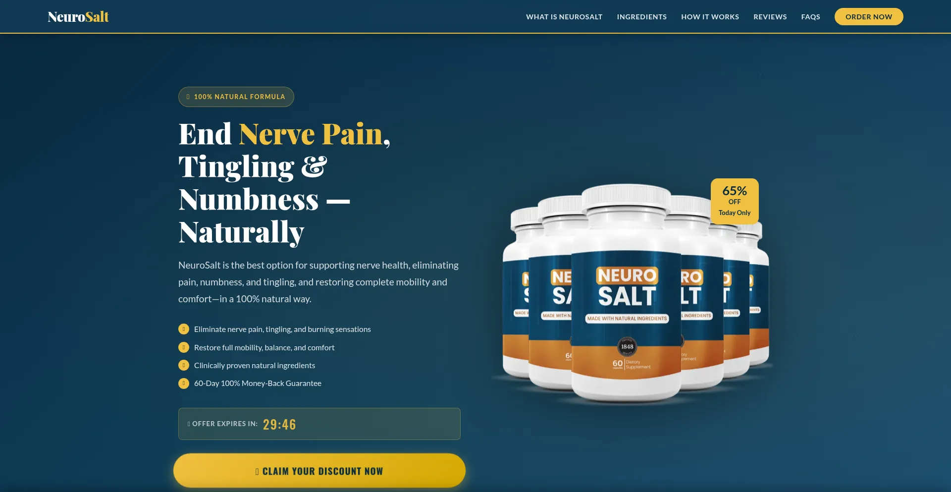 Eng--neurosalt.com