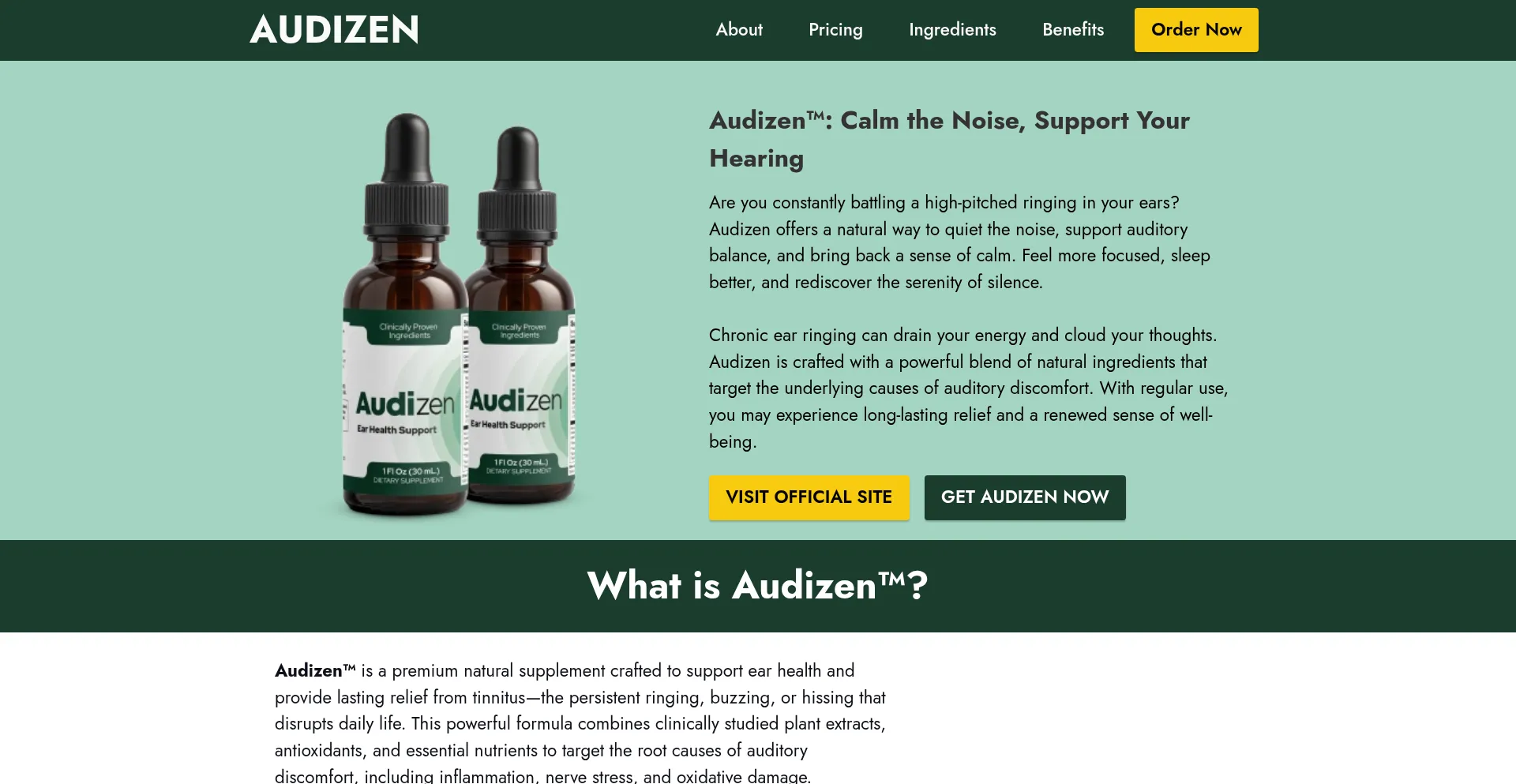 Eng-usa-audizen.com