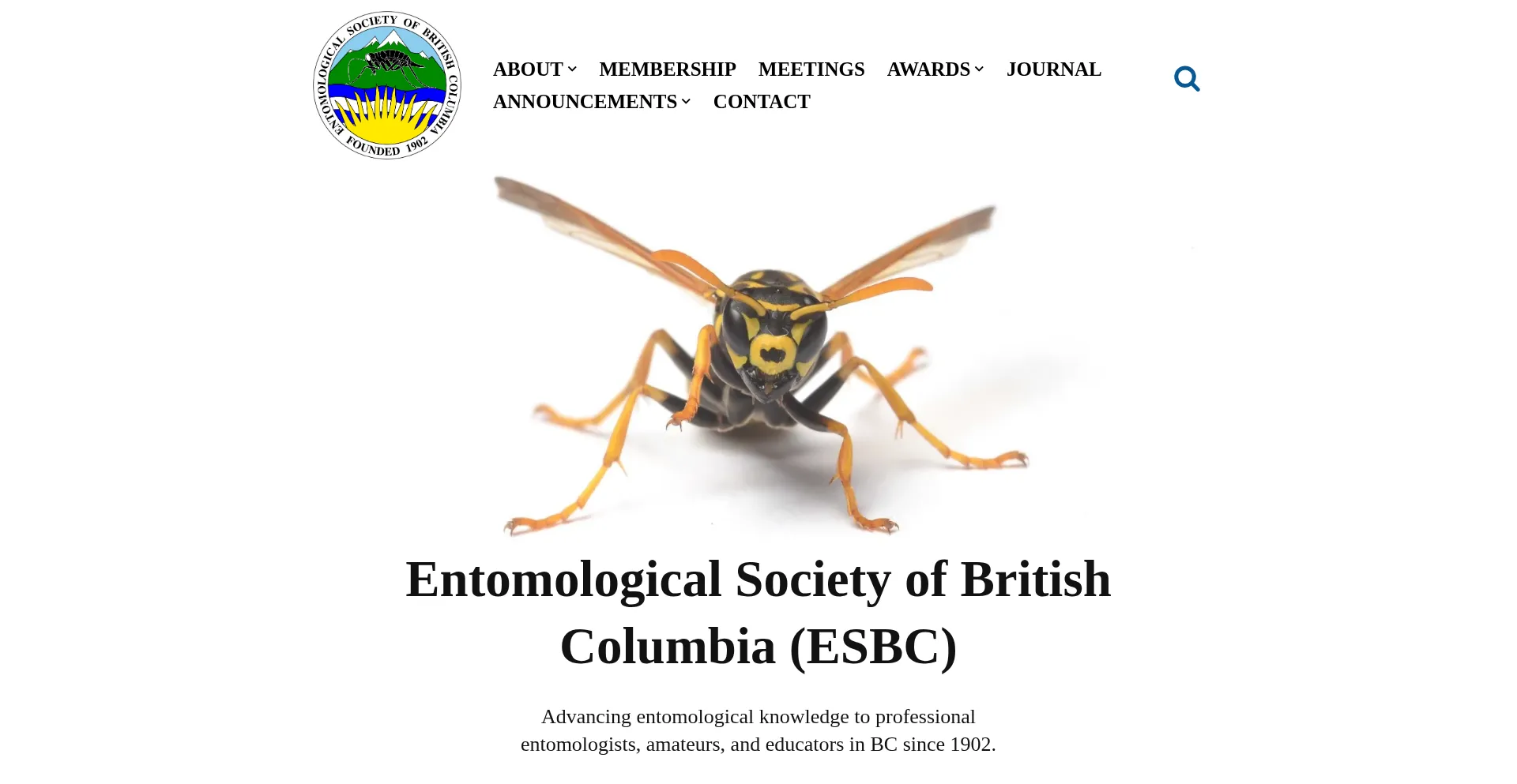 Entsocbc.ca