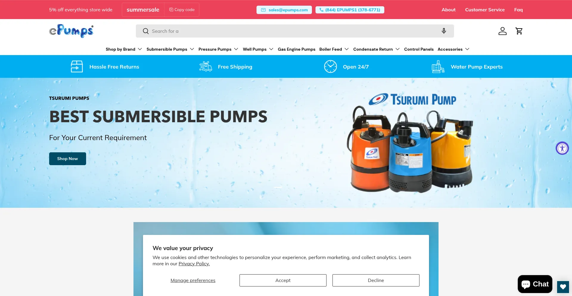 Website screenshot of Epumps.com