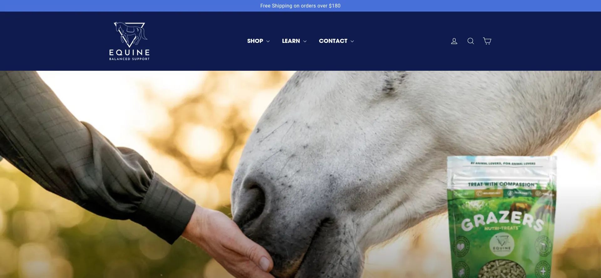 Equinebalancedsupport.com