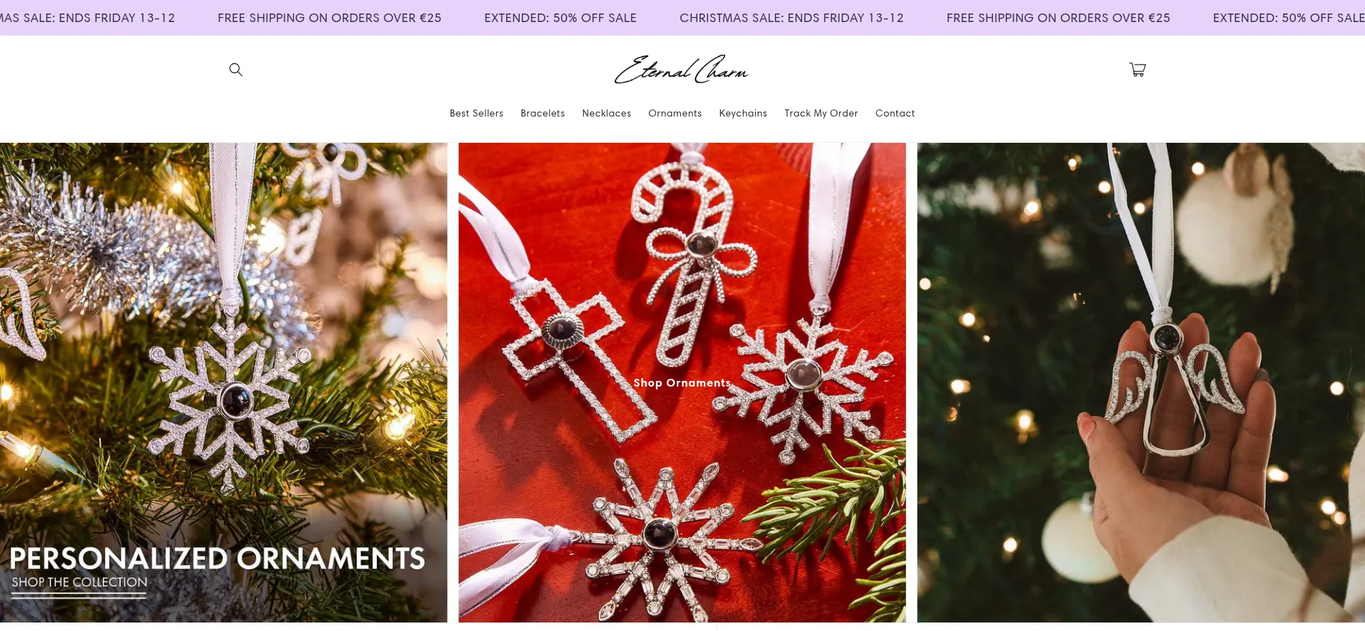 Website screenshot of Eternalcharm.shop