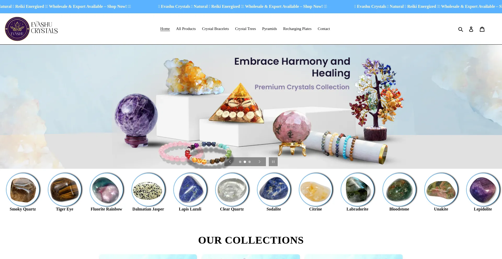 Website screenshot of Evashu.in