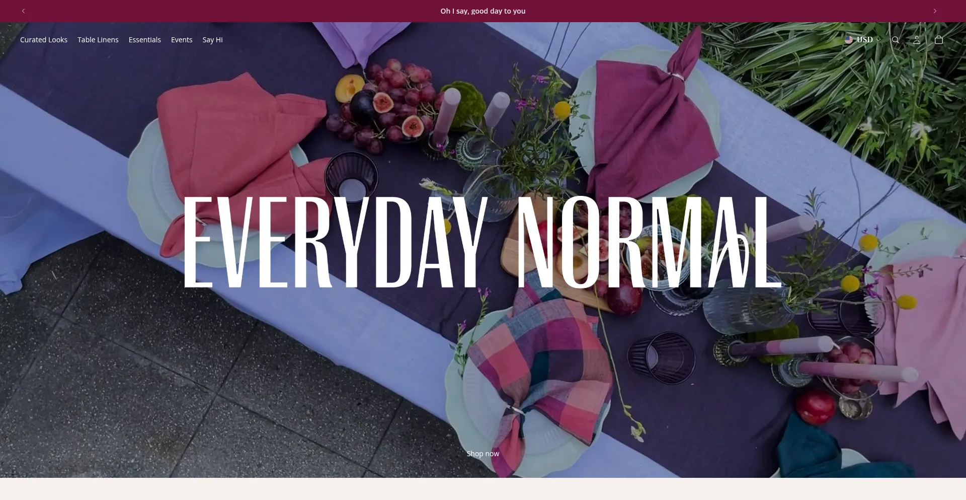 Everydaynormal.co