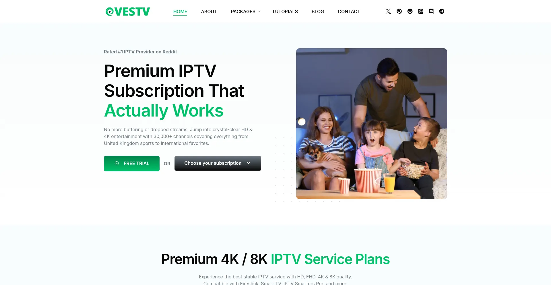 Website screenshot of Evestv.net
