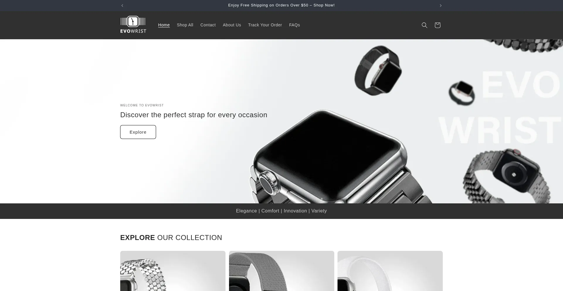 Website screenshot of Evowrist.com
