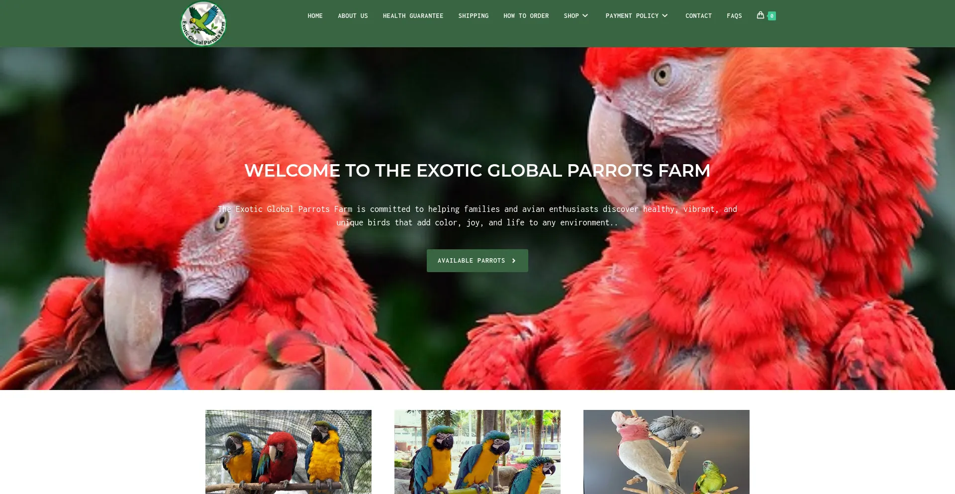 Exoticglobalparrotsfarm.com