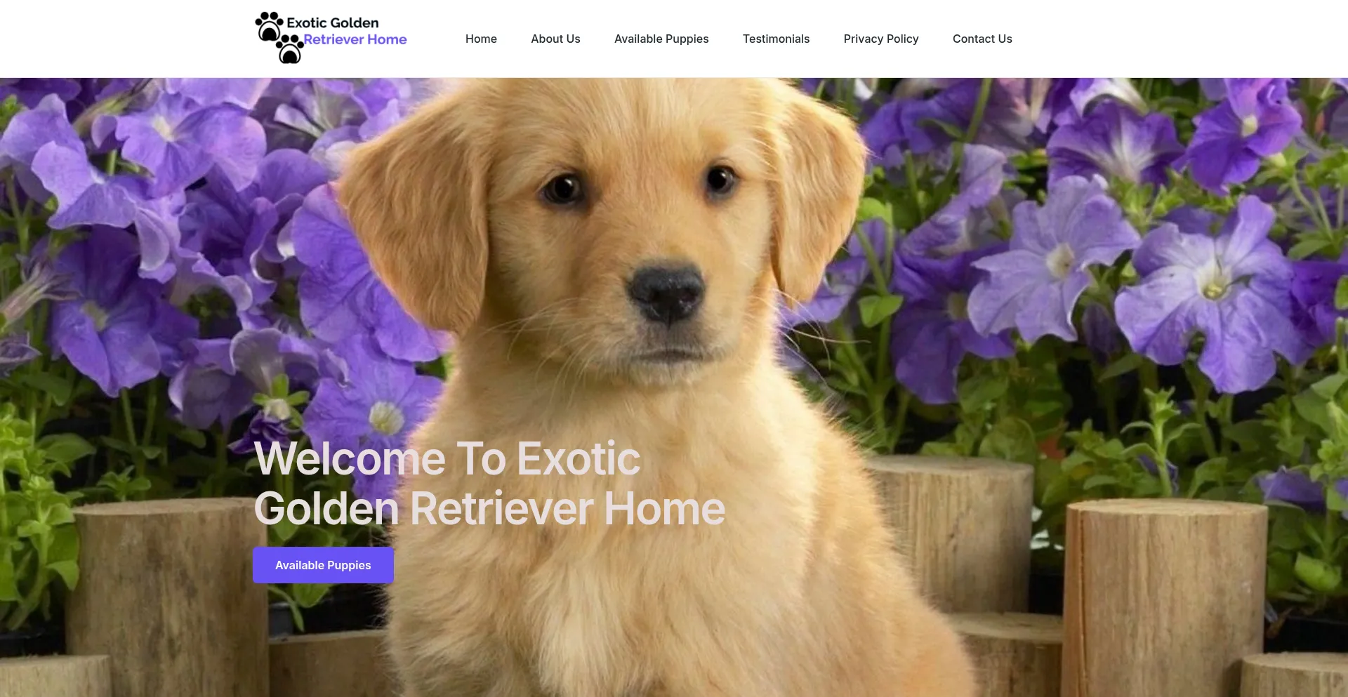 Exoticgoldenretrieverhome.com