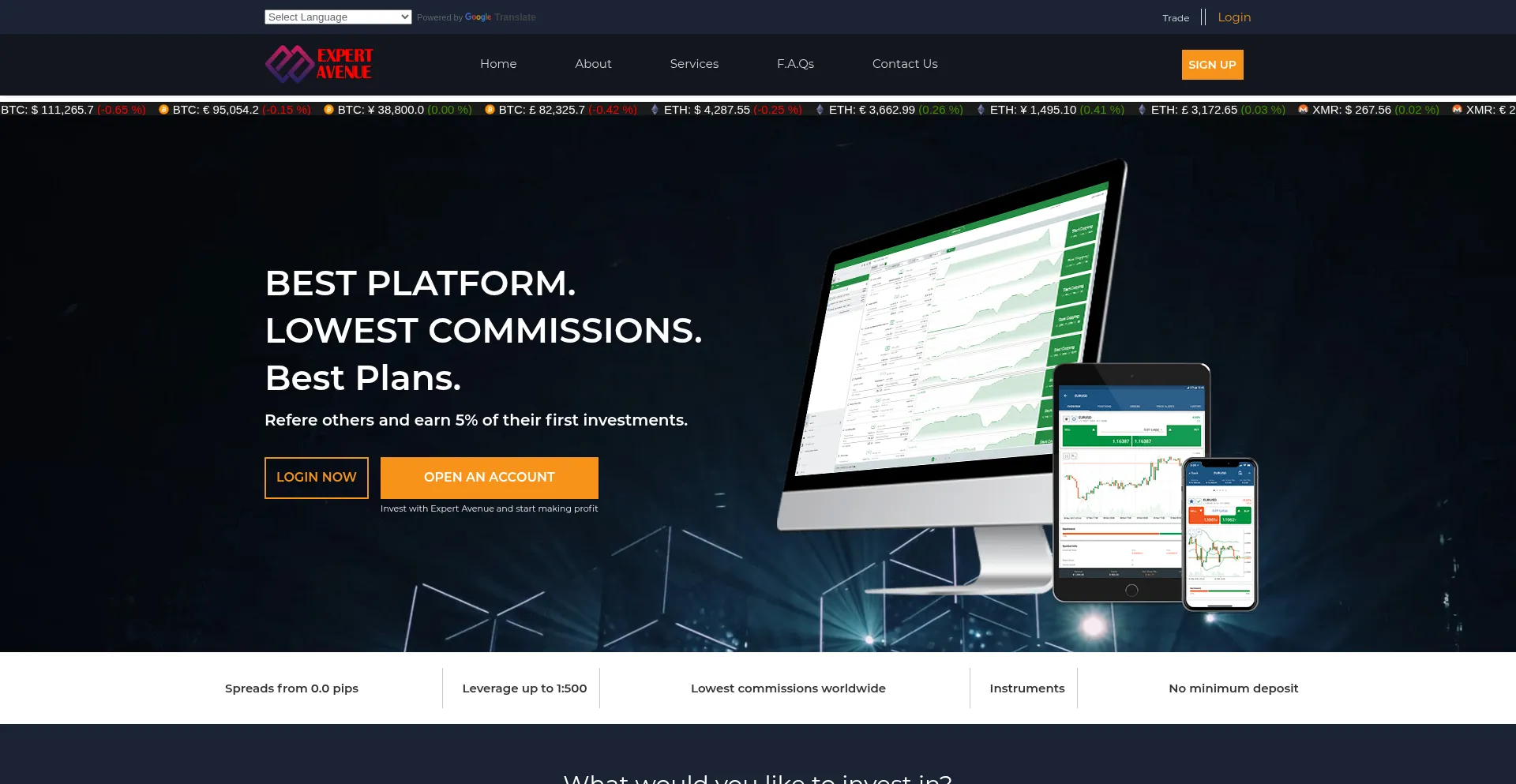 Website screenshot of Expertavenue.org