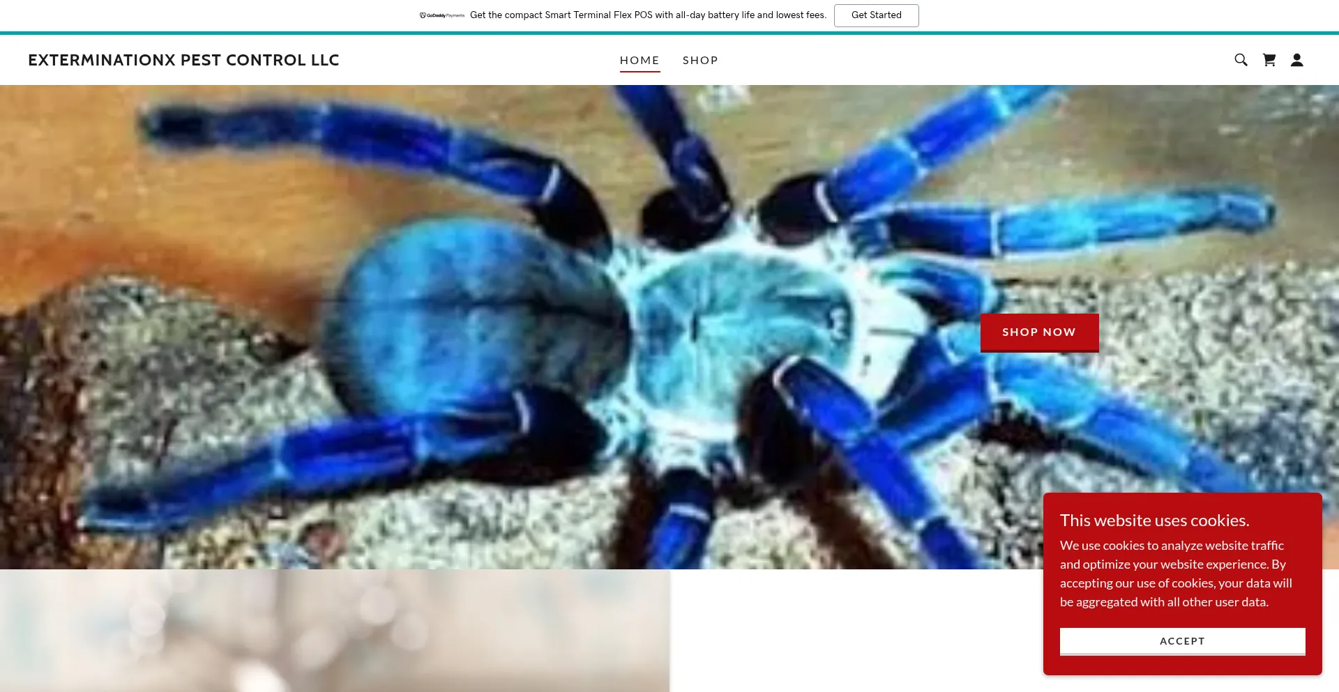 Exterminationxpestcontrol.godaddysites.com
