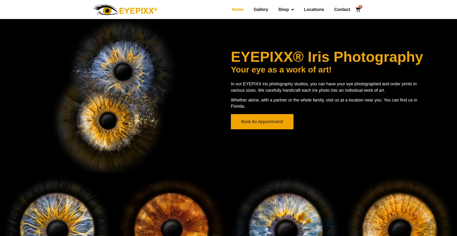Website screenshot of Eyepixx.us