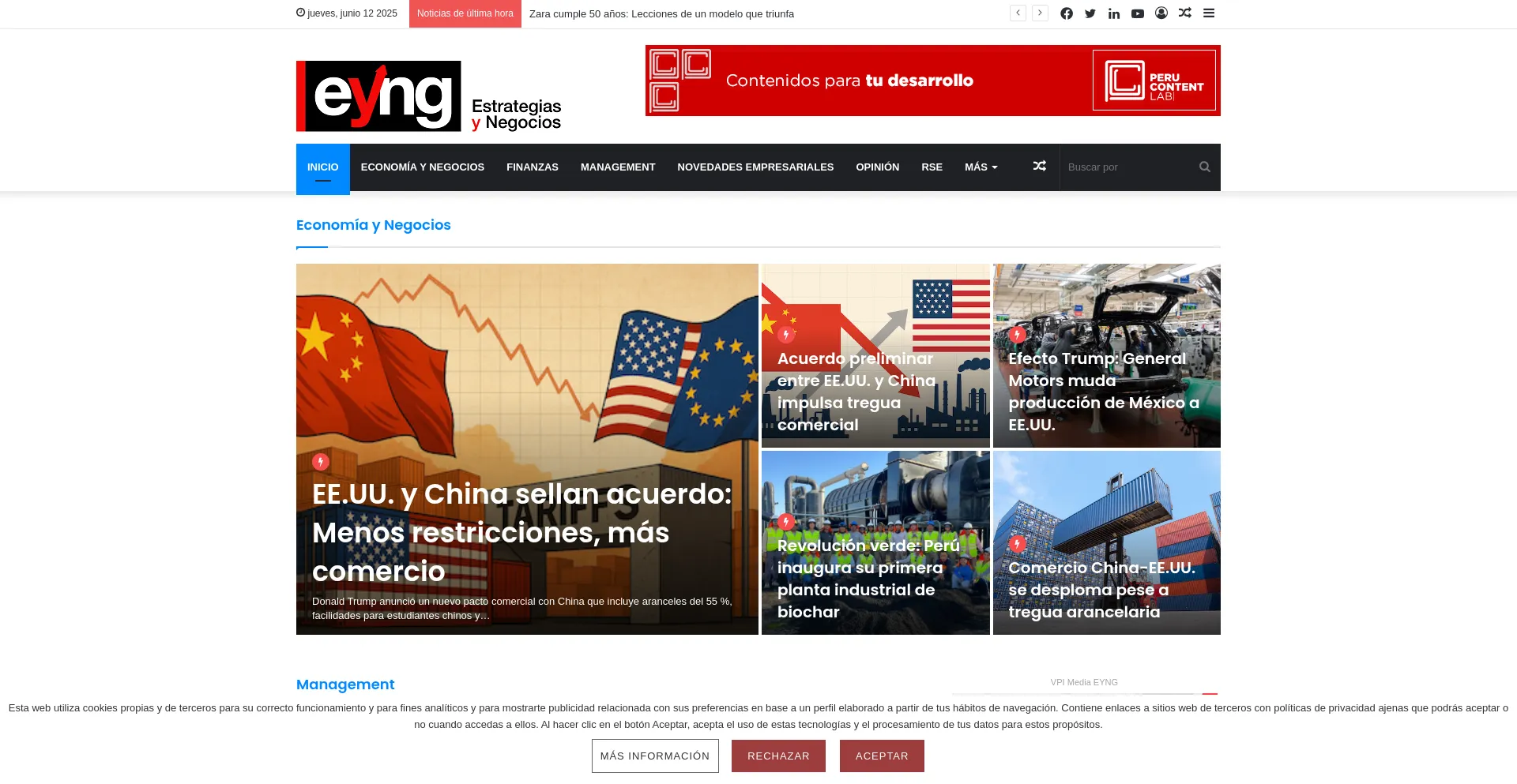 Website screenshot of Eyng.pe