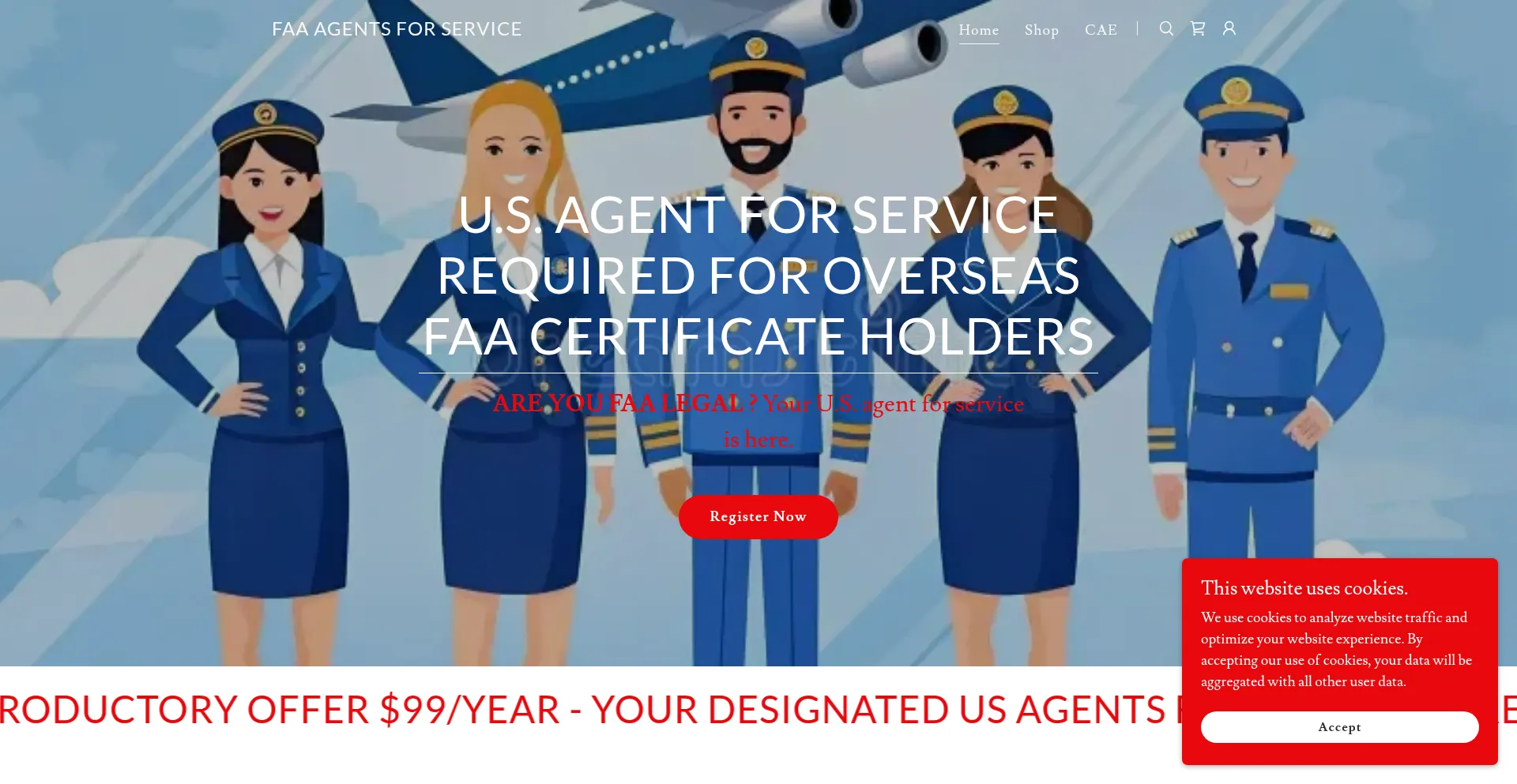 Website screenshot of Faaagentsforservice.com
