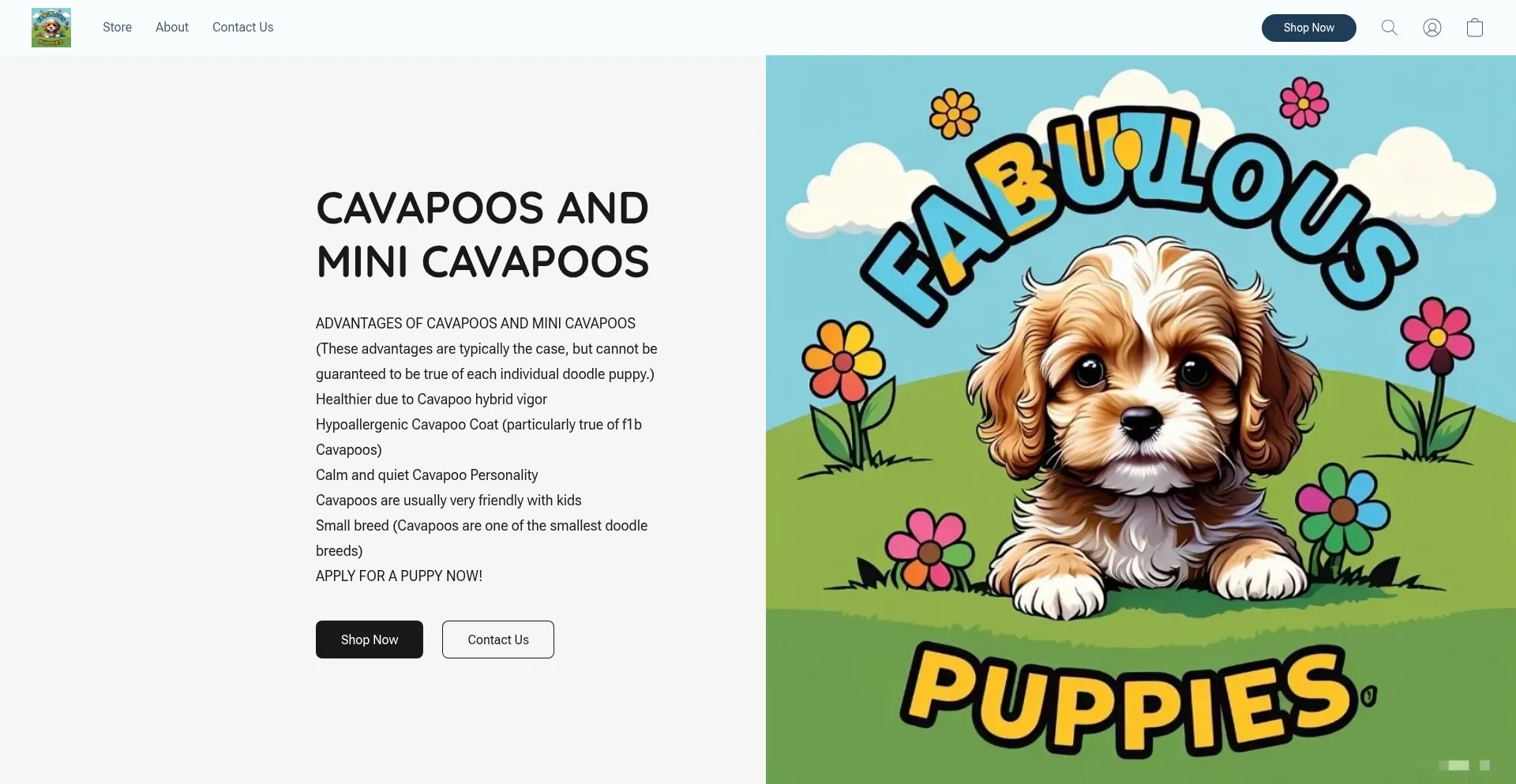 Fabulouscavapoopuppies.company.site