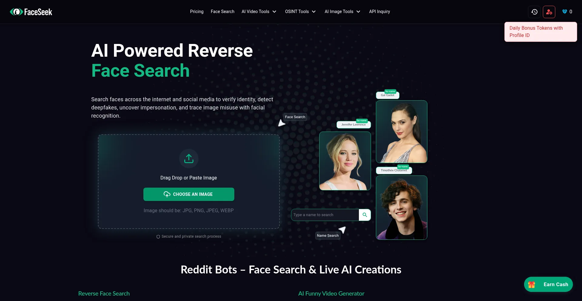 Website screenshot of Faceseek.online