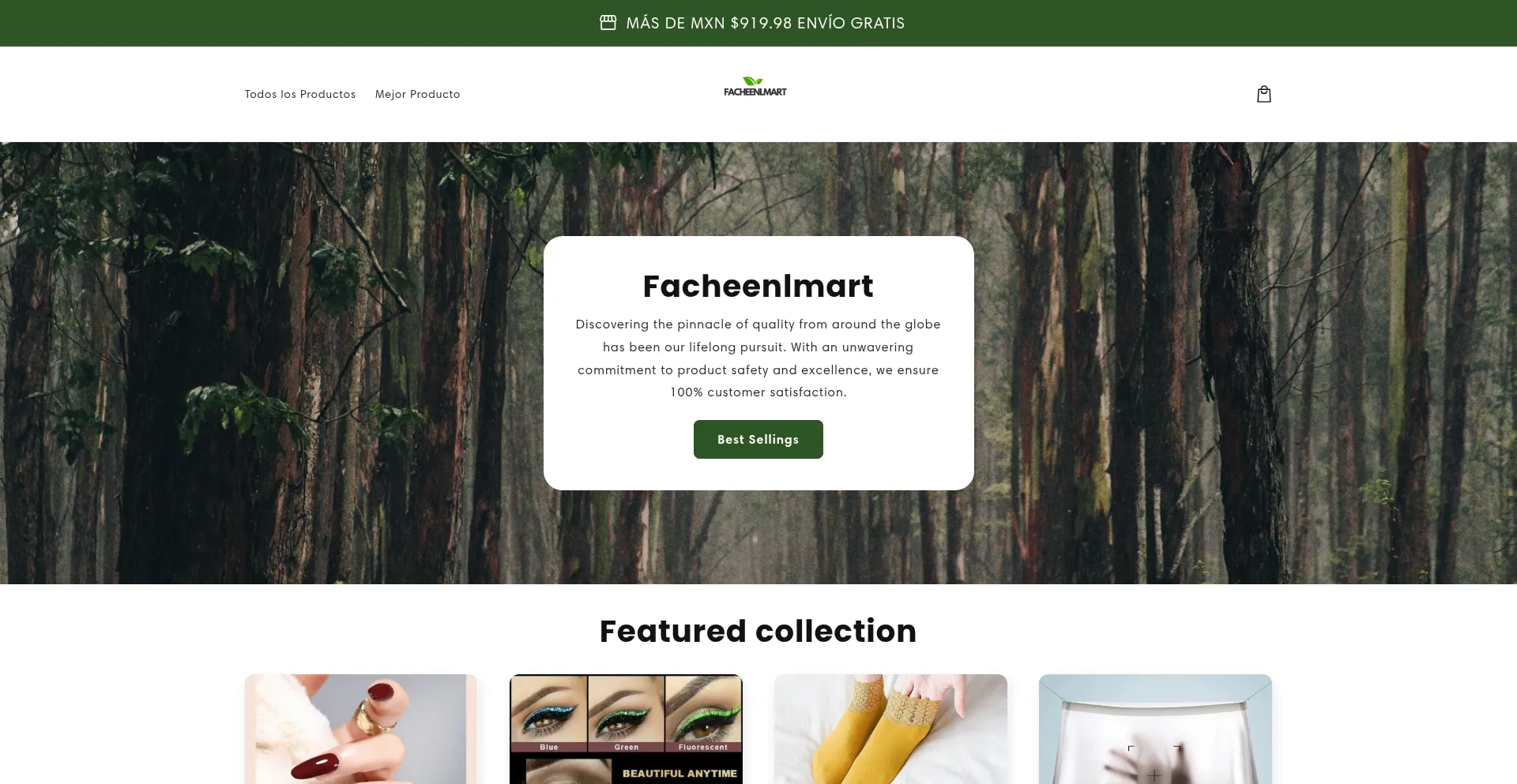 Website screenshot of Facheenlmart.com