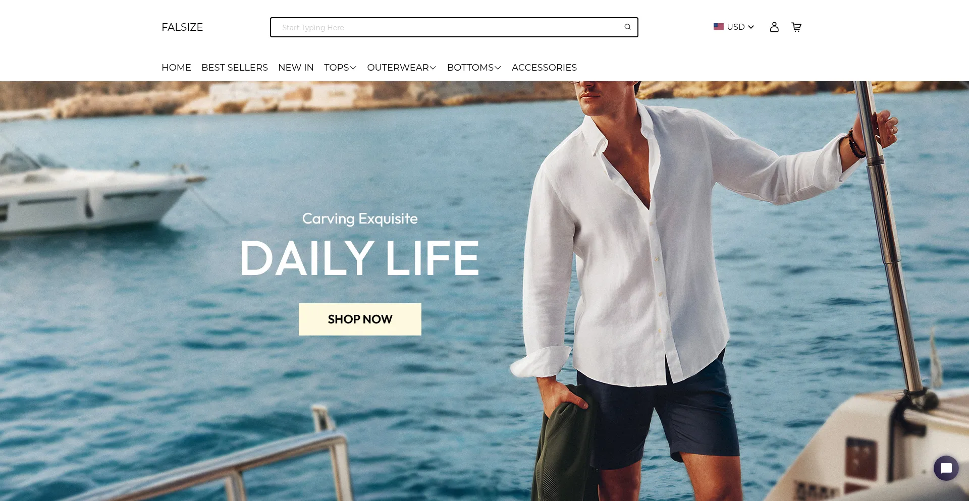 Website screenshot of Falsize.com