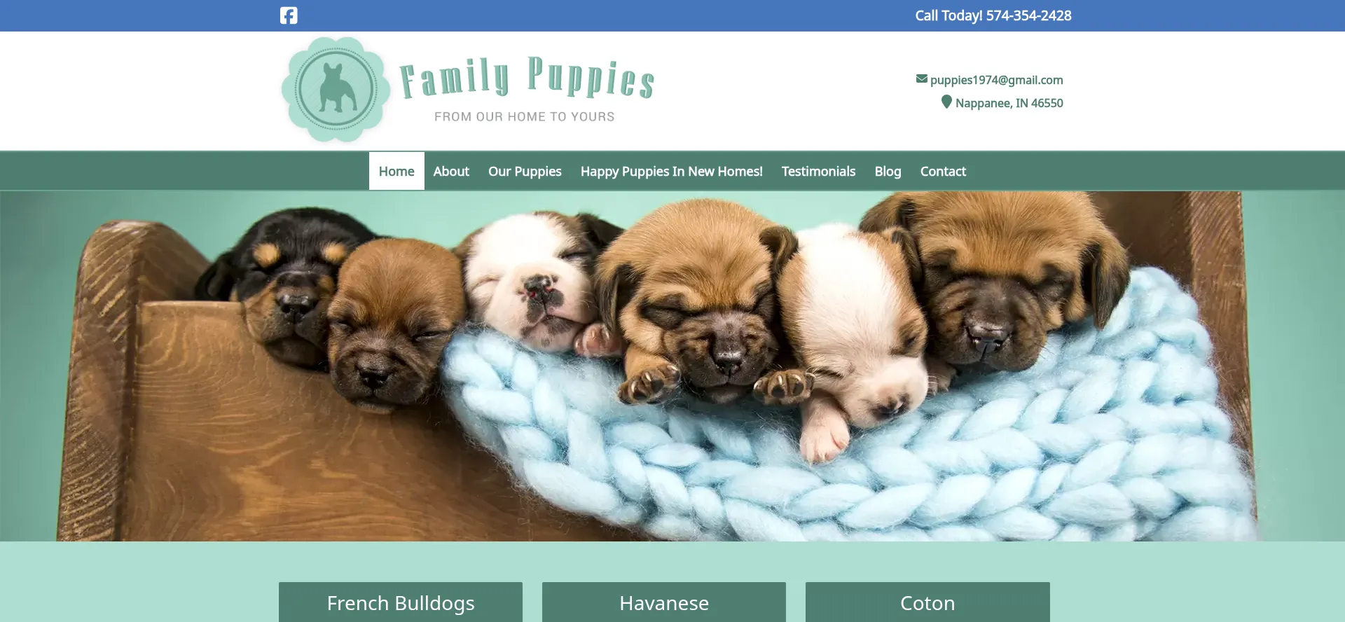 Family-puppies.com