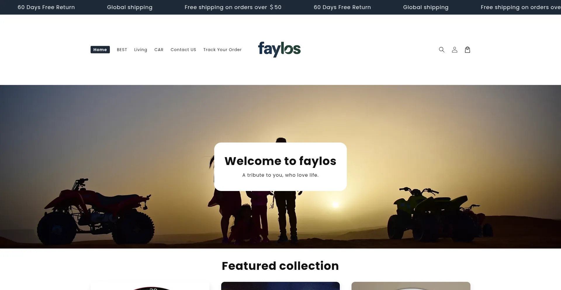 Faylos.com