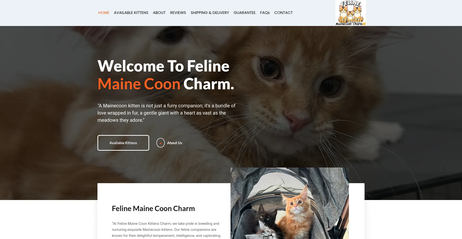 Felinemainecooncharm.com