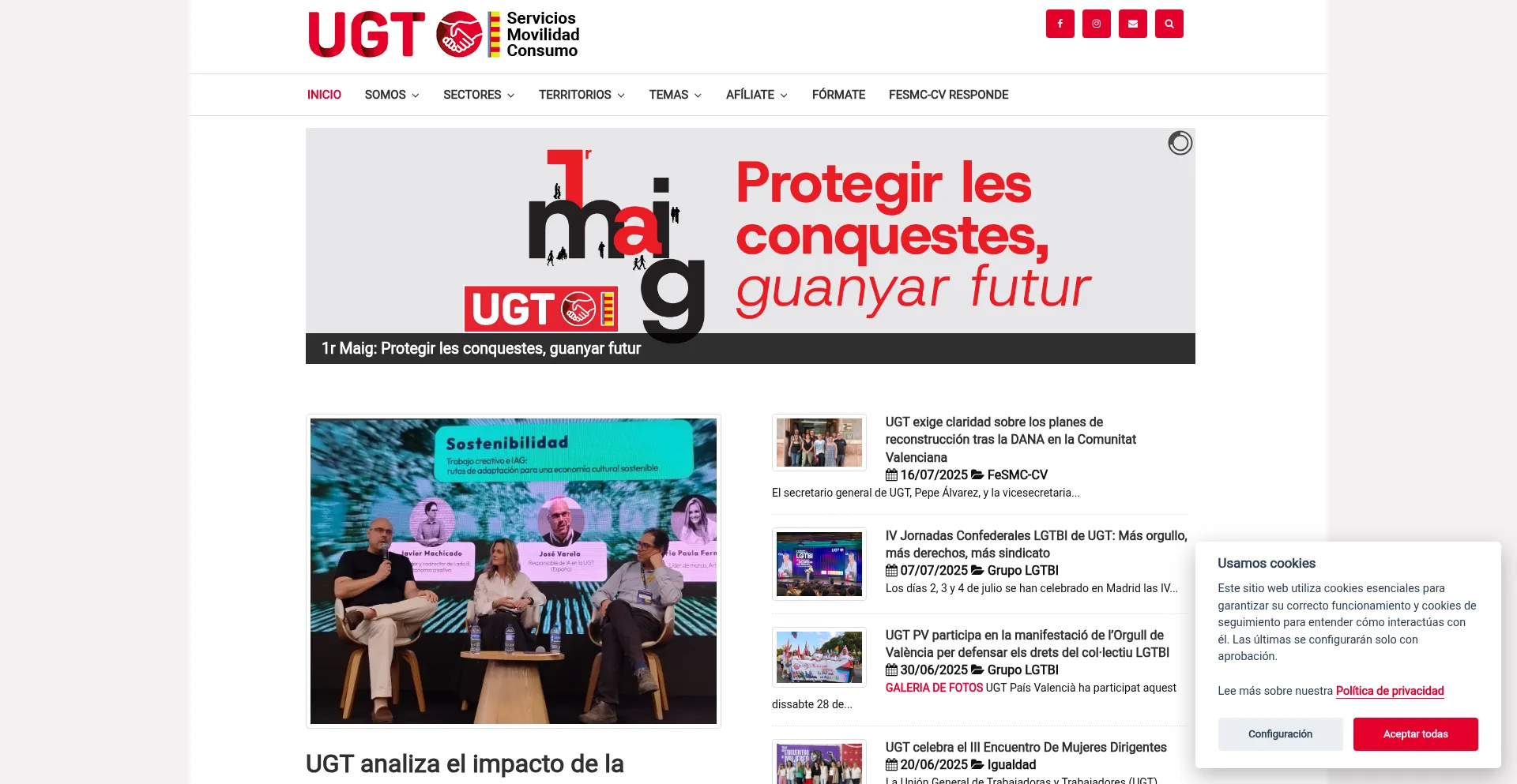 Website screenshot of Fesmcugtpv.org
