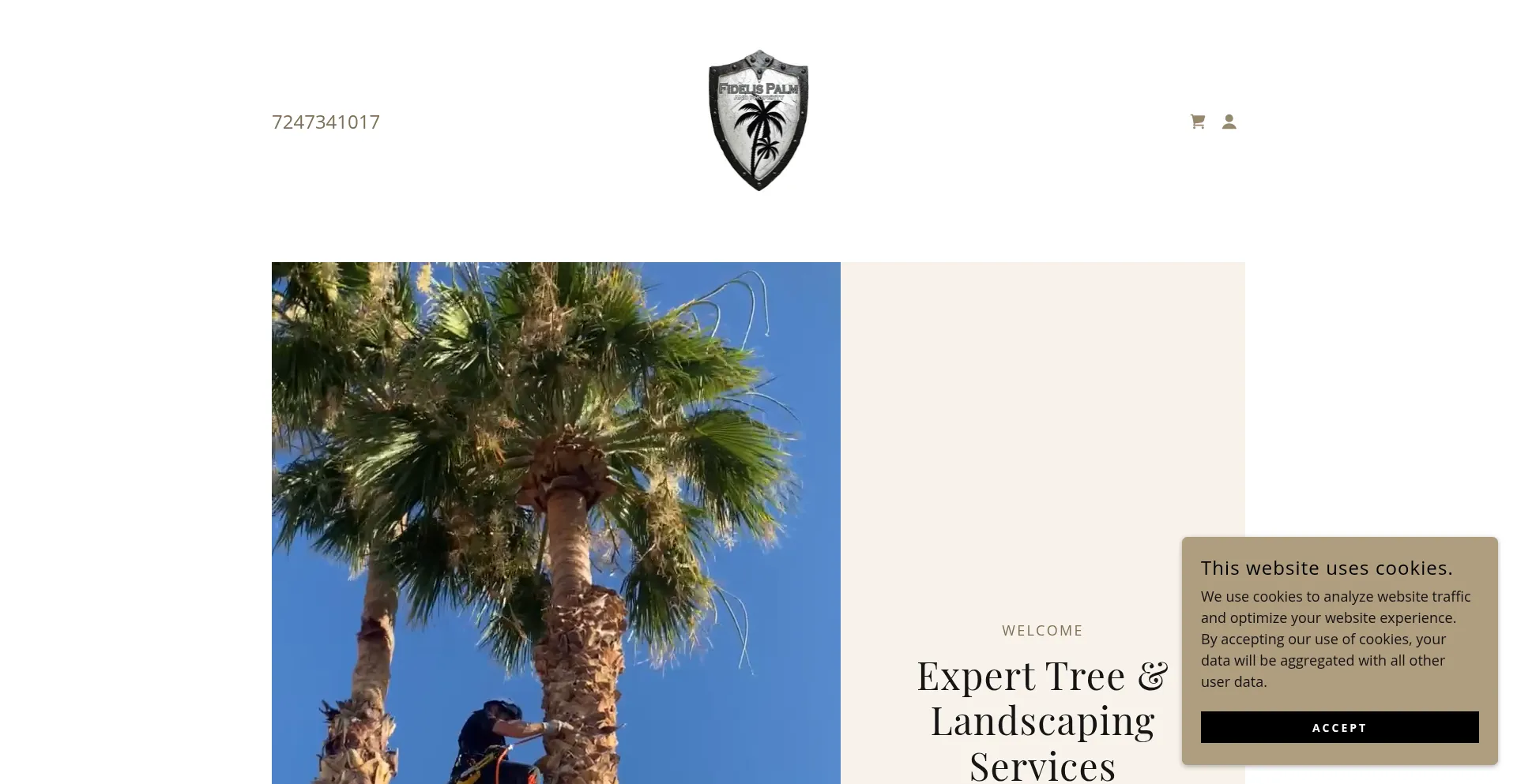 Fidelis-property.com