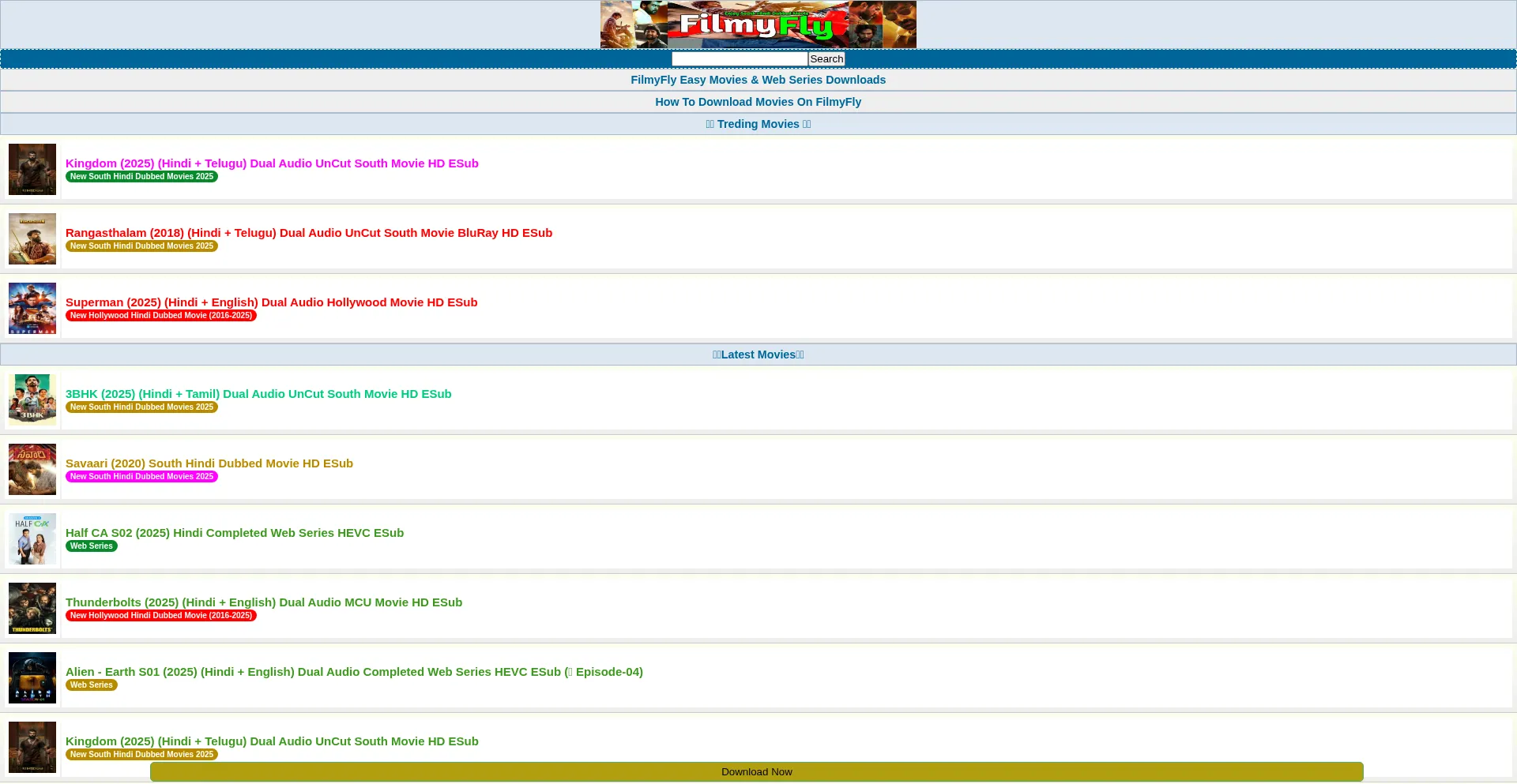 Website screenshot of Filmyfly.navy