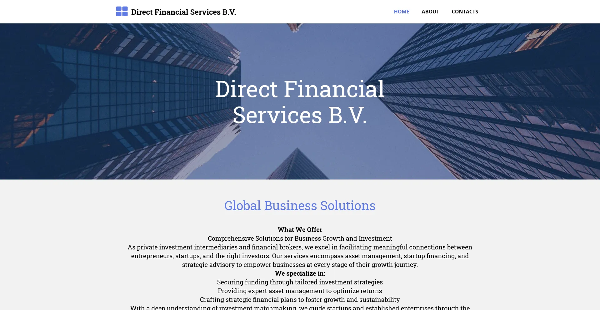 Website screenshot of Financial-assetsbv.com