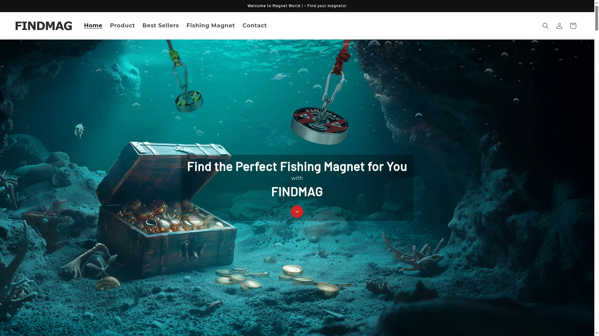 Findmag.com