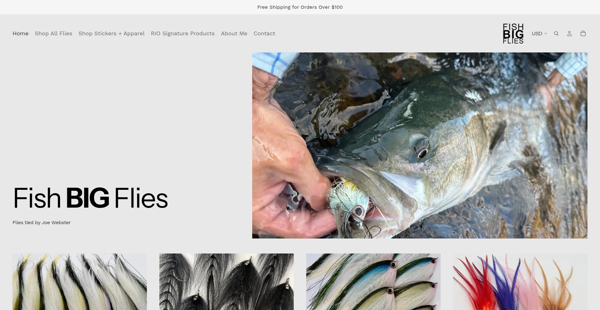 Fishbigflies.com