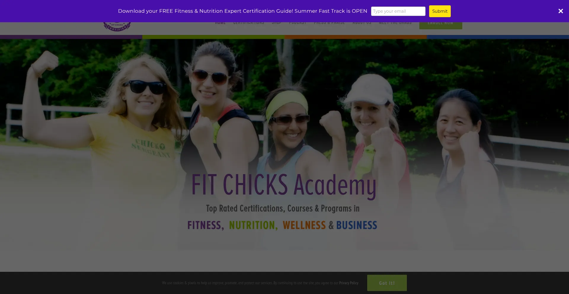 Website screenshot of Fitchicksacademy.com
