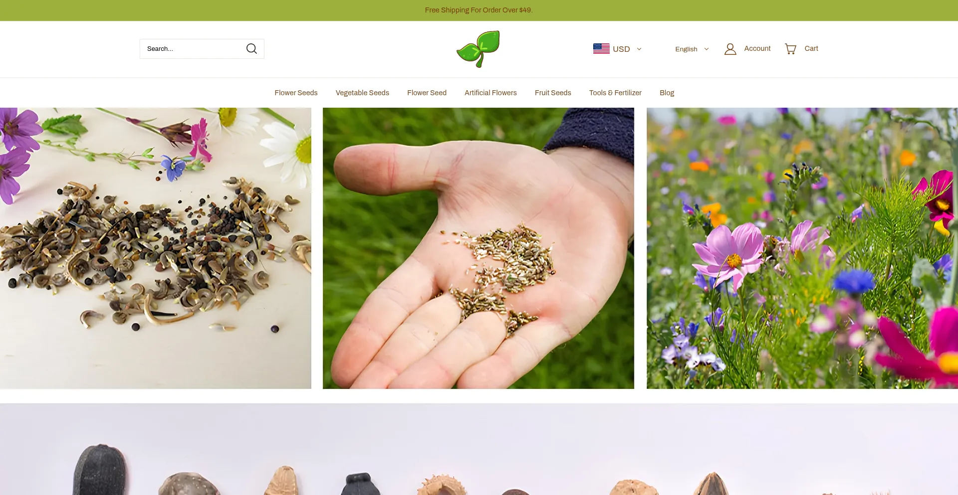 Florhaven.com