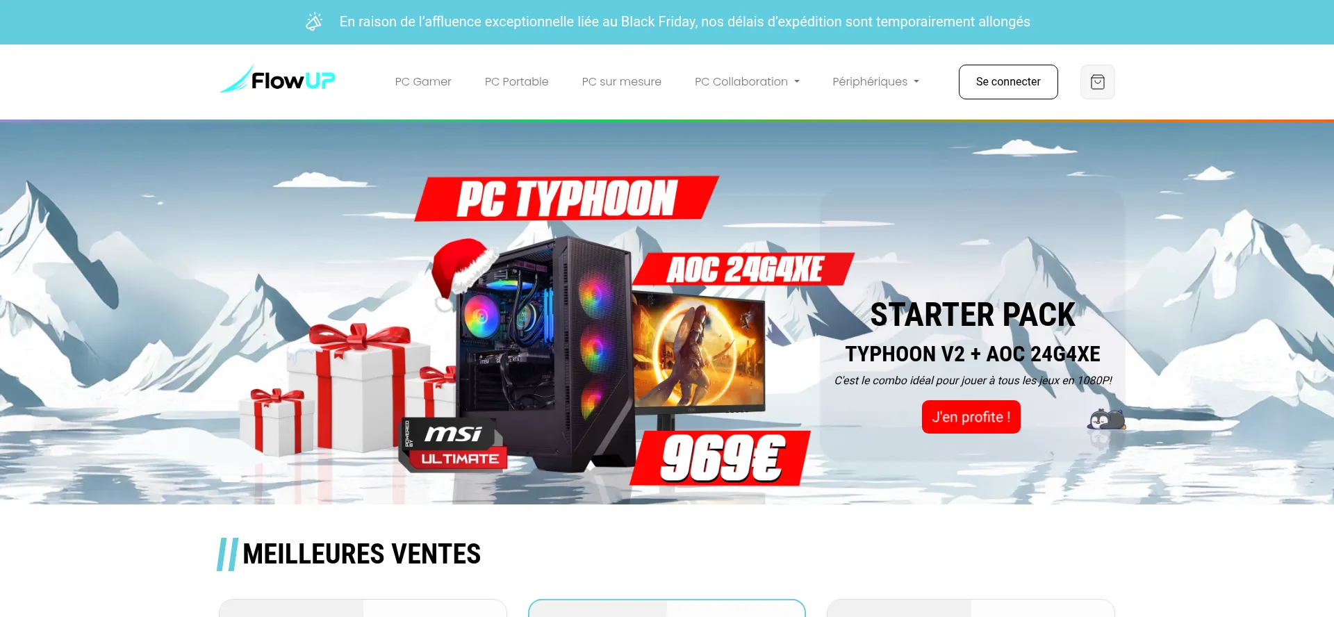 Website screenshot of Flowup.shop