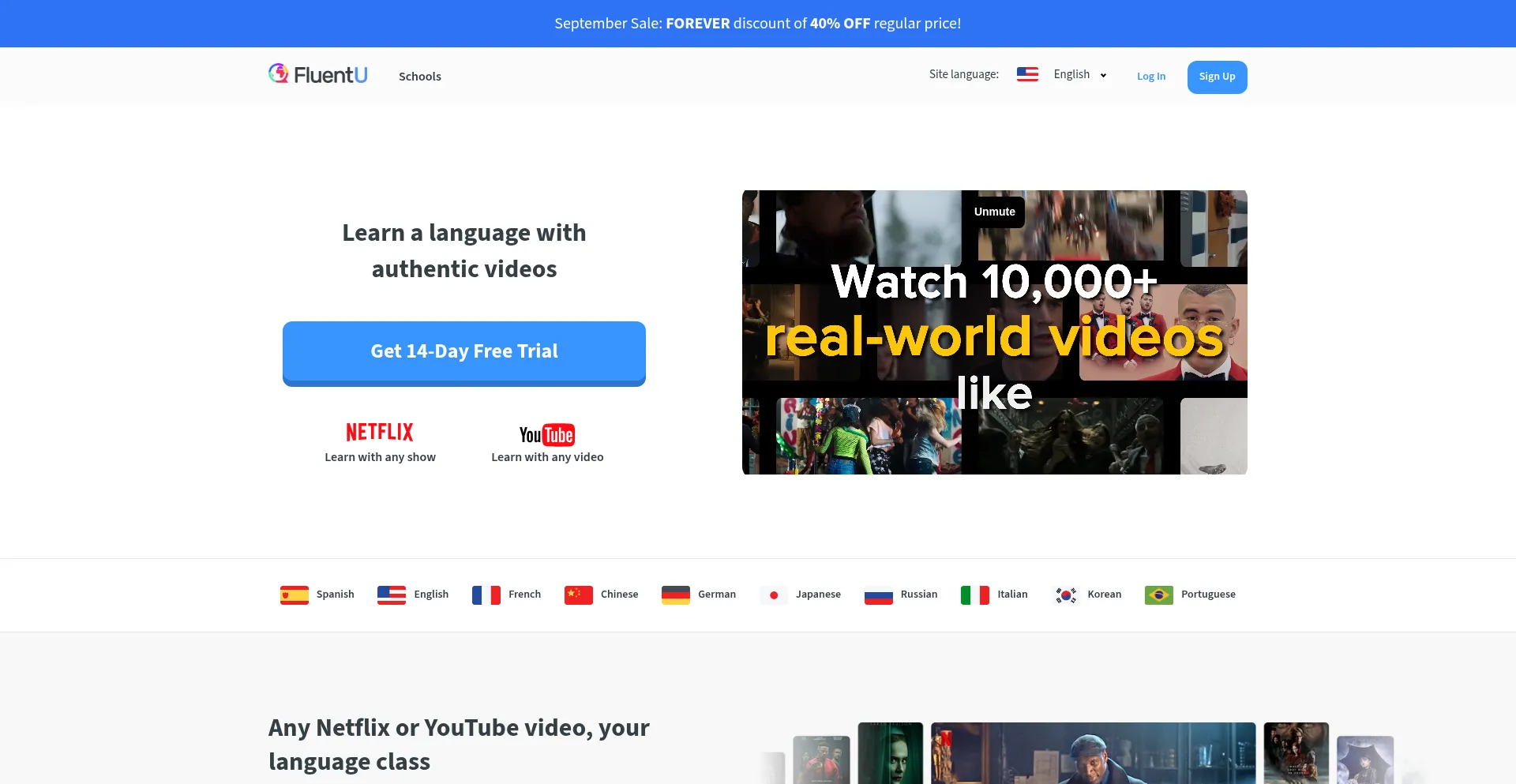 Fluentu.com Screenshot