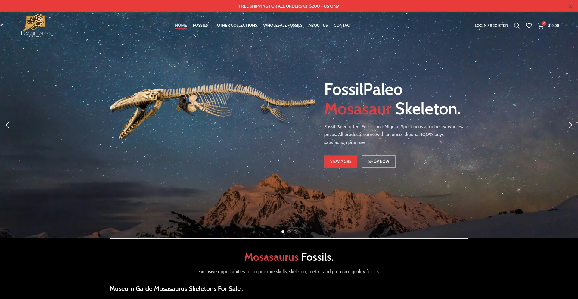 Website screenshot of Fossilpaleo.com