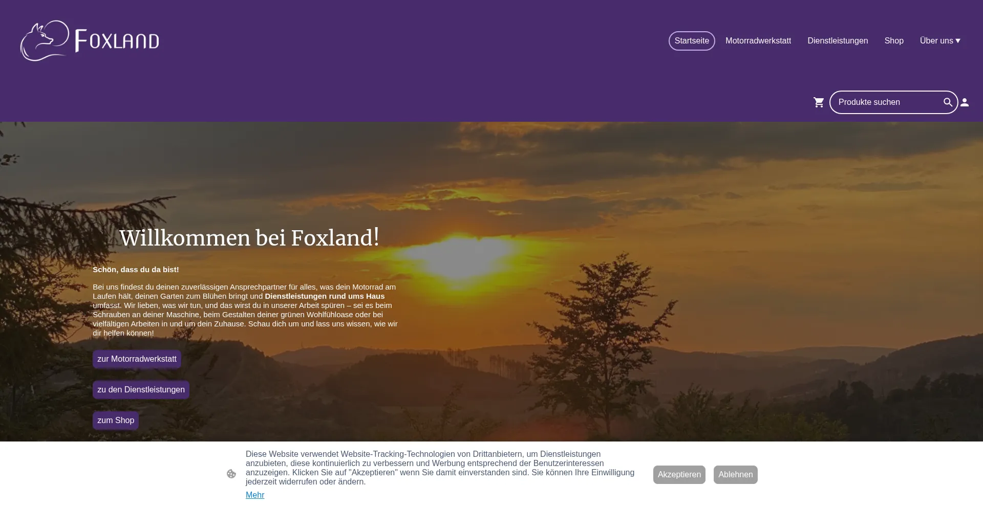 Website screenshot of Foxland.online