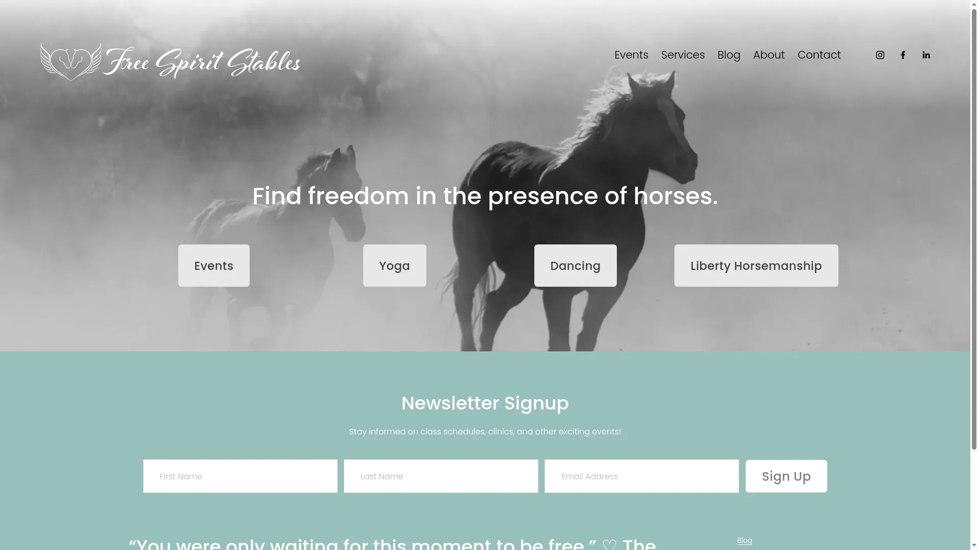 Freespiritstables.com