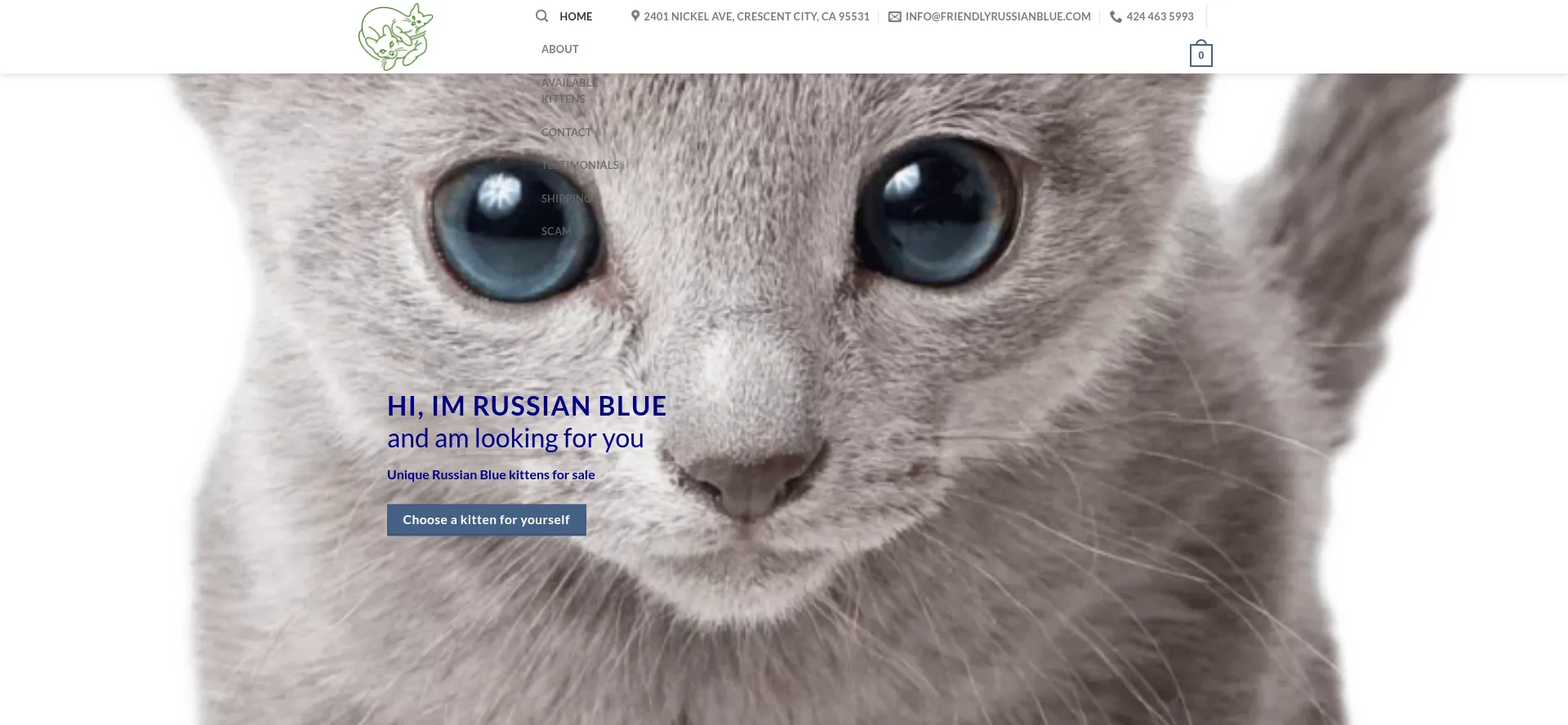 Ist Friendlyrussianblue.com sicher und vertrauenswürdig?