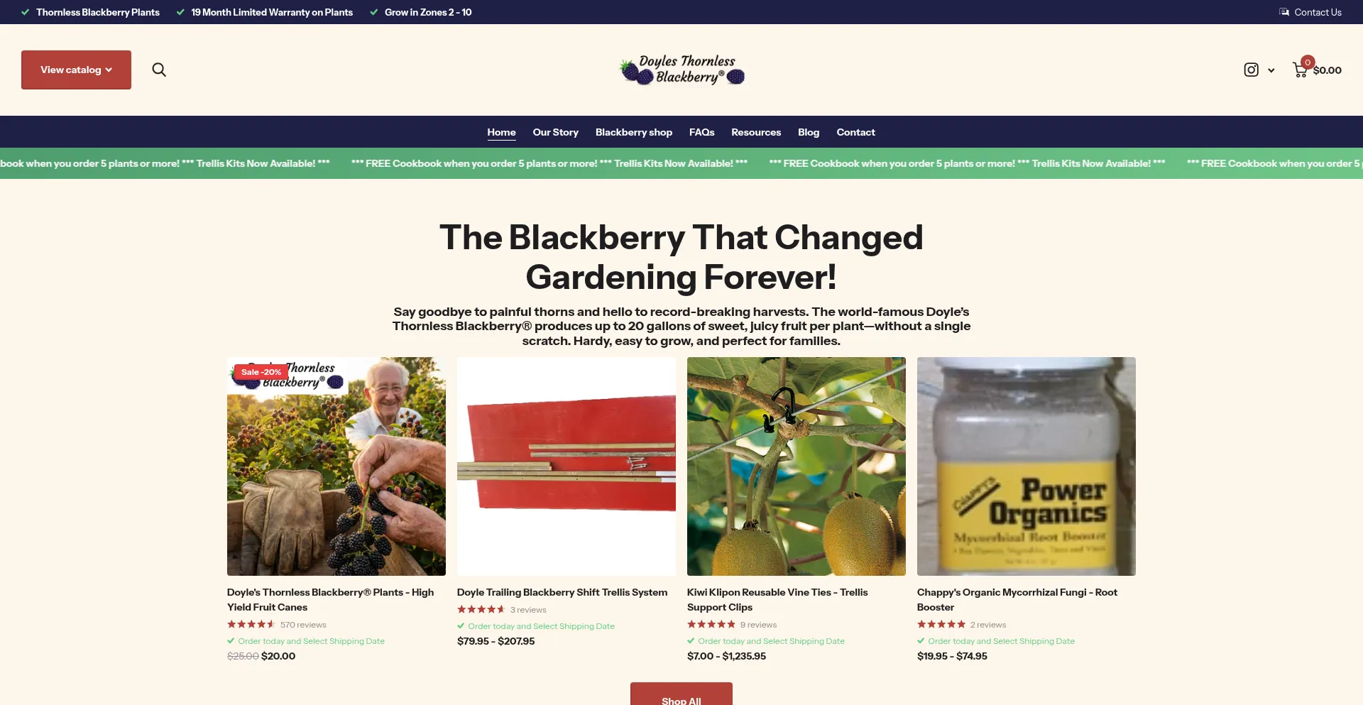 Fruitsandberries.com