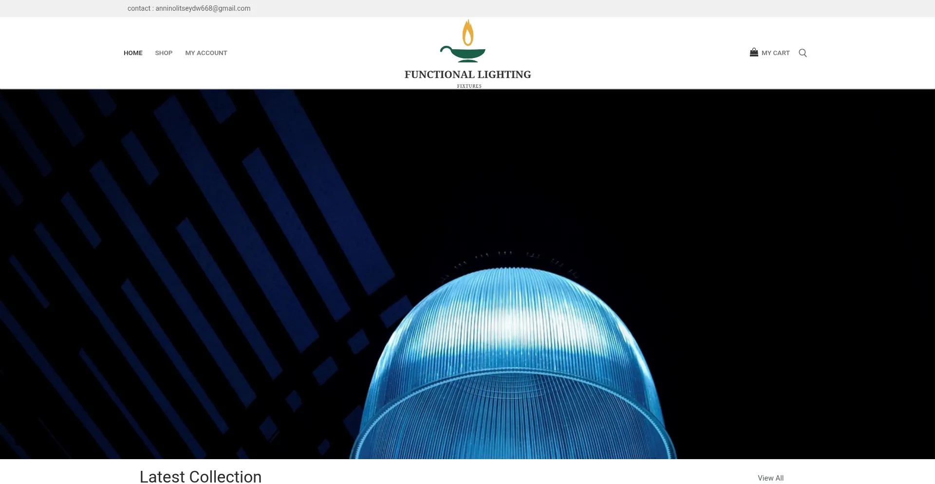 Functionallightingfixtures.com