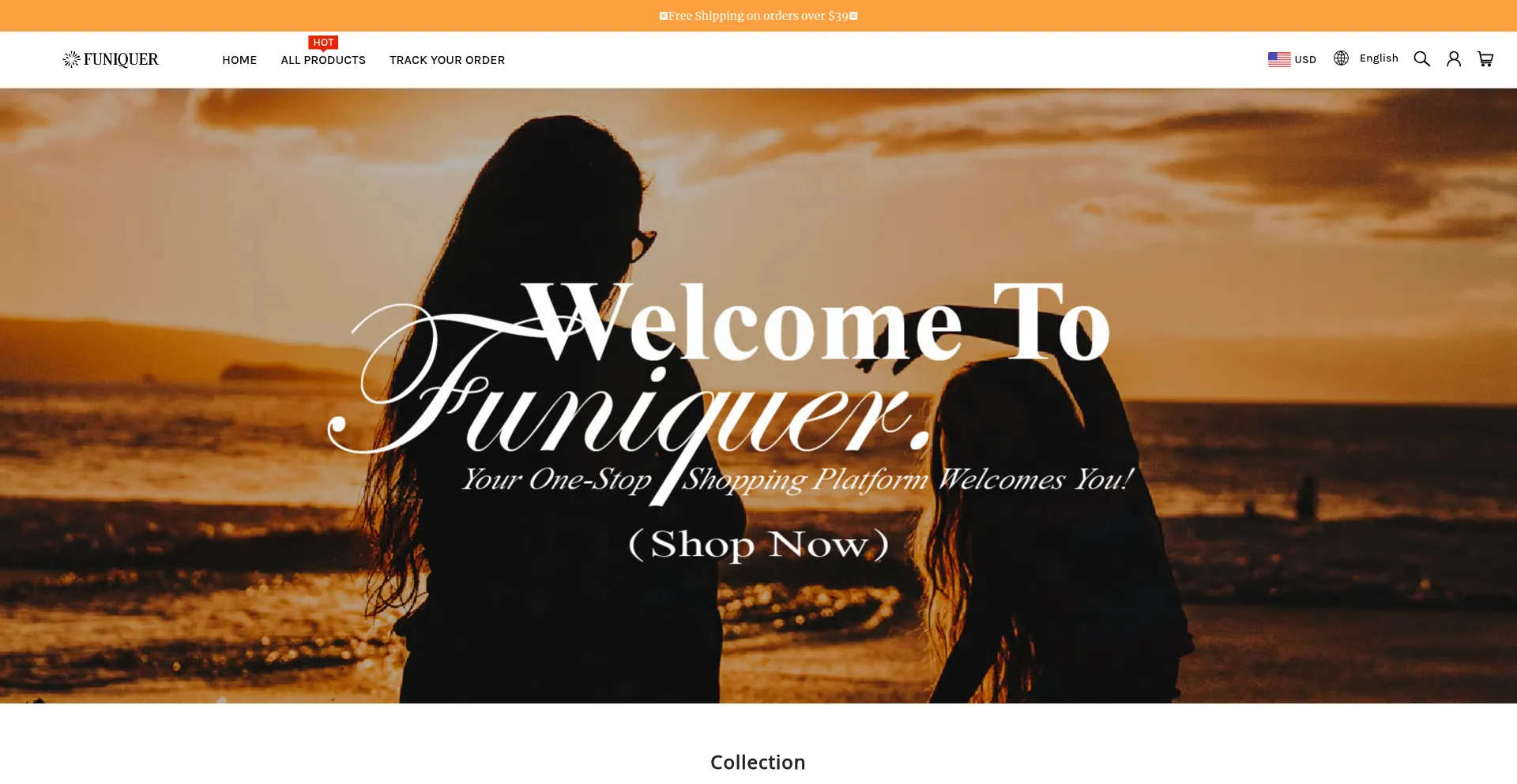 Website screenshot of Funiquer.com