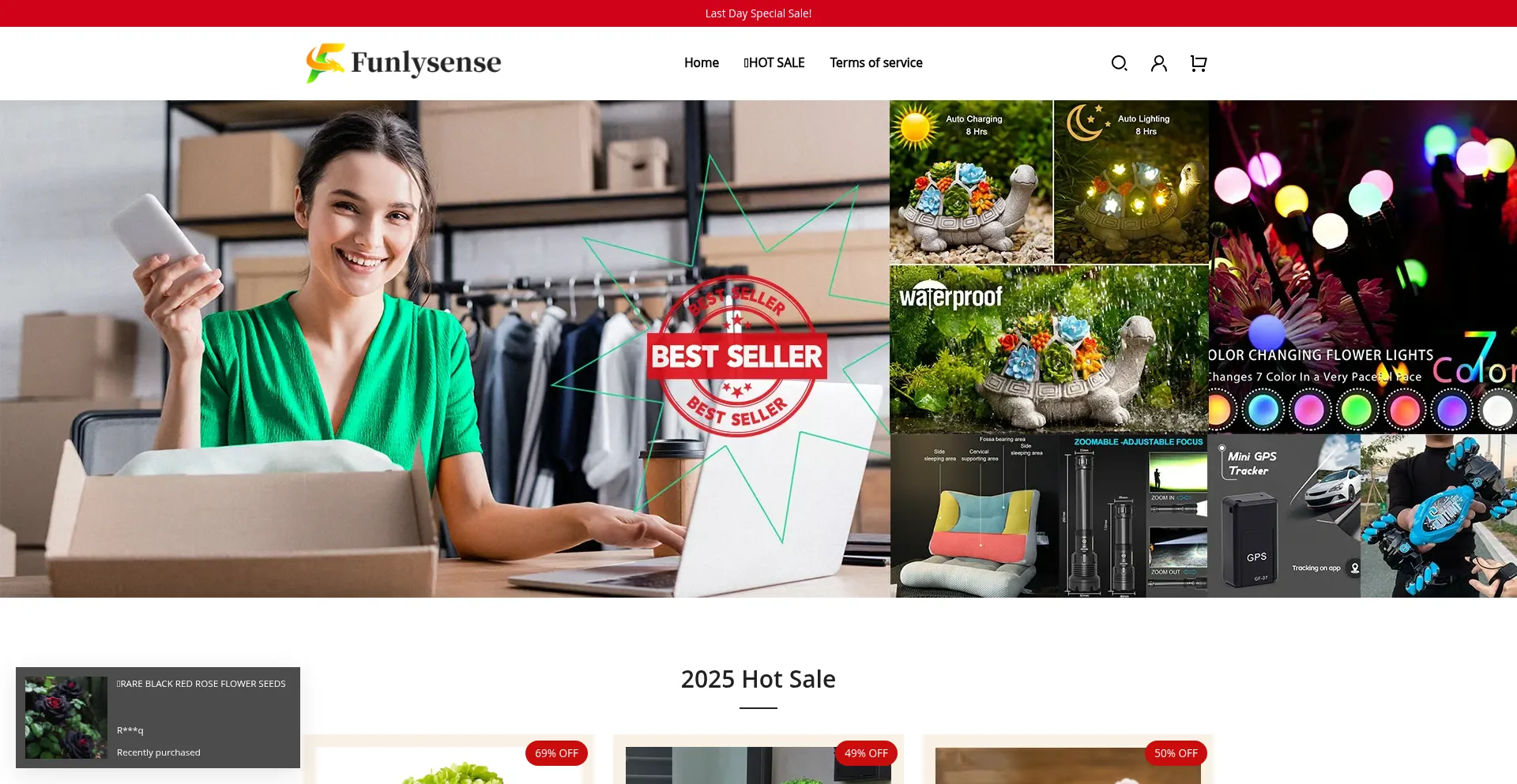 Website screenshot of Funlysense.com