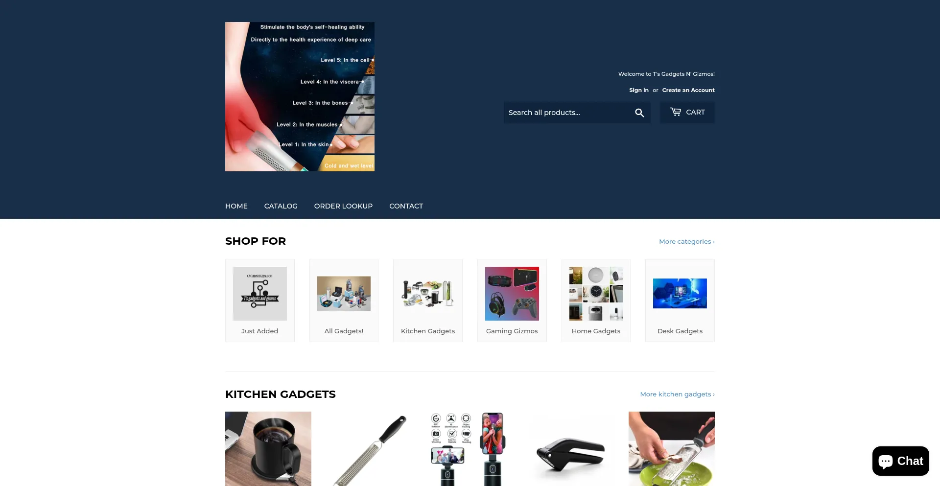 Website screenshot of Gadsngizs.com