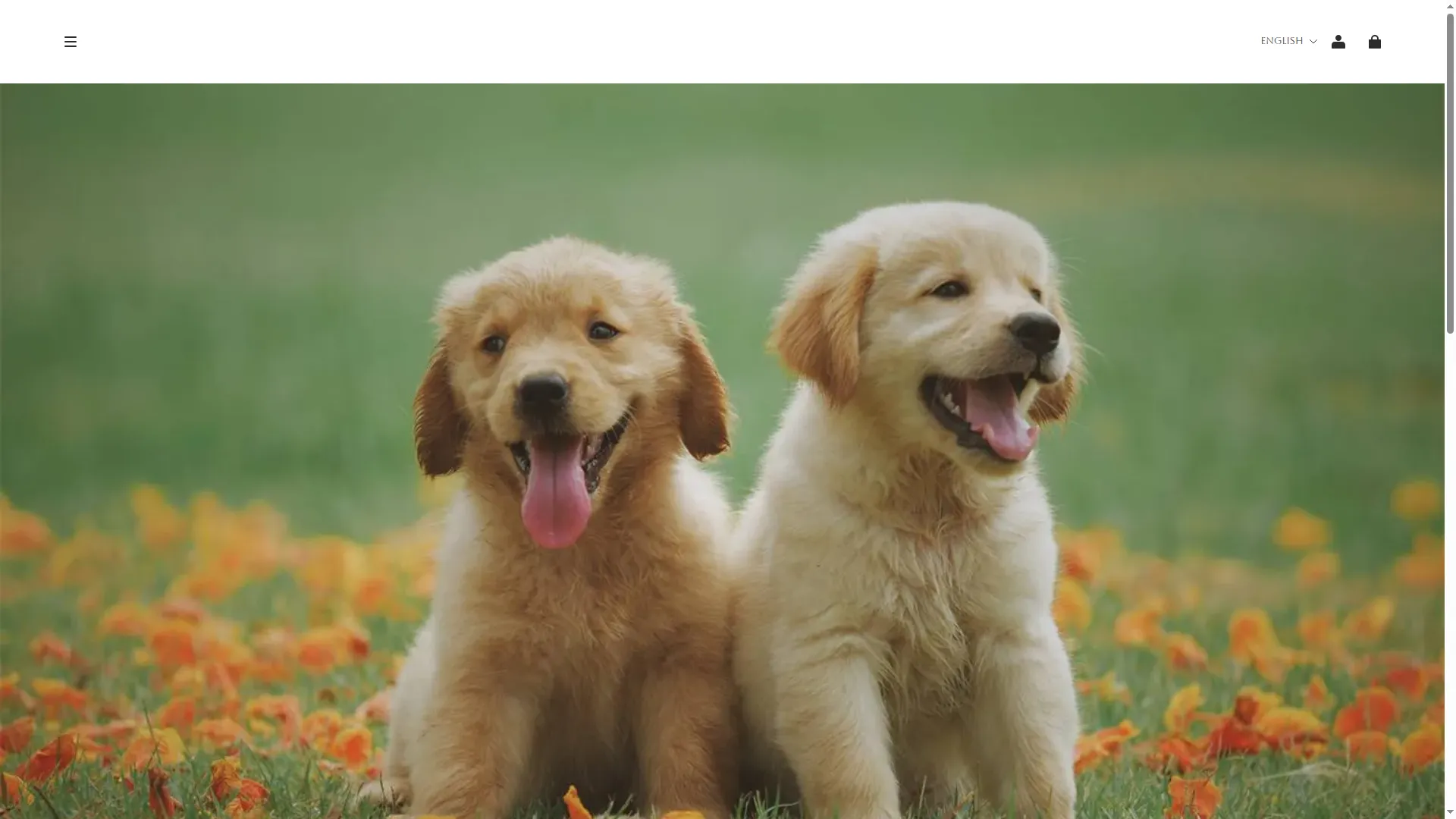 Gap-sale.com