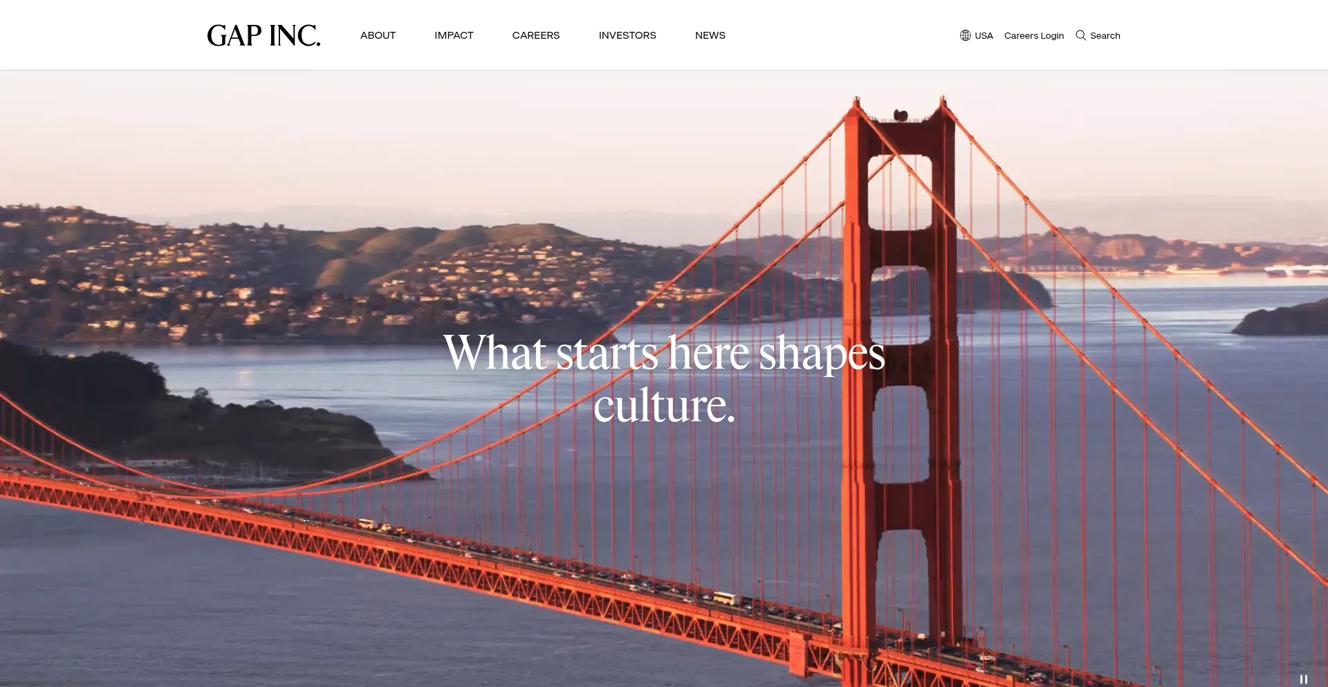 Website screenshot of Gapinconline.com