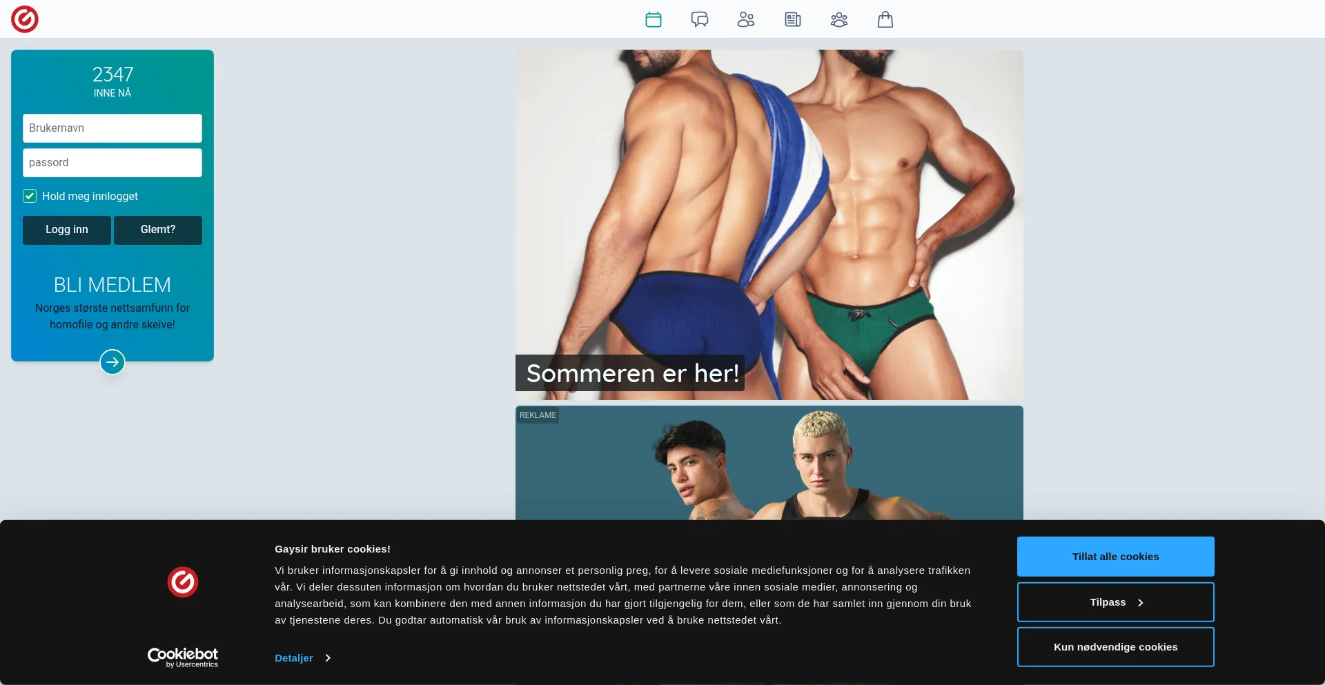 Website screenshot of Gaysir.no